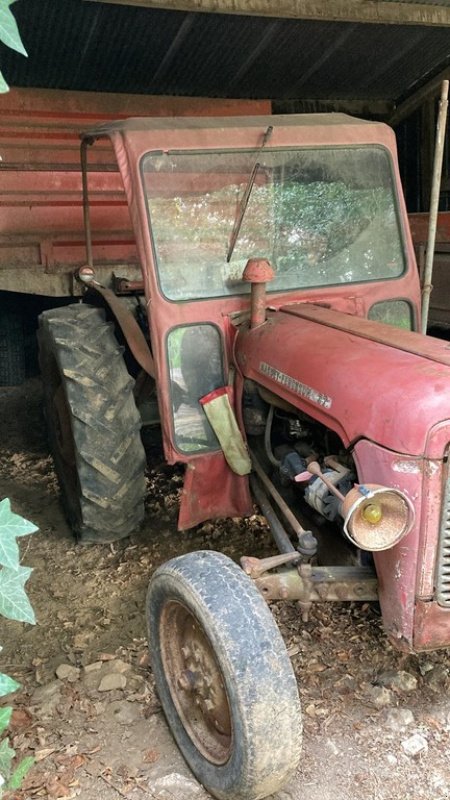 Traktor typu Massey Ferguson DIVERS, Gebrauchtmaschine v ISIGNY-LE-BUAT (Obrázok 5)