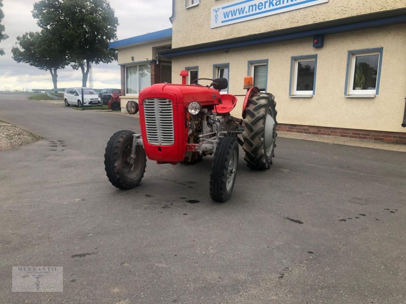 Traktor типа Massey Ferguson L12L, Gebrauchtmaschine в Pragsdorf