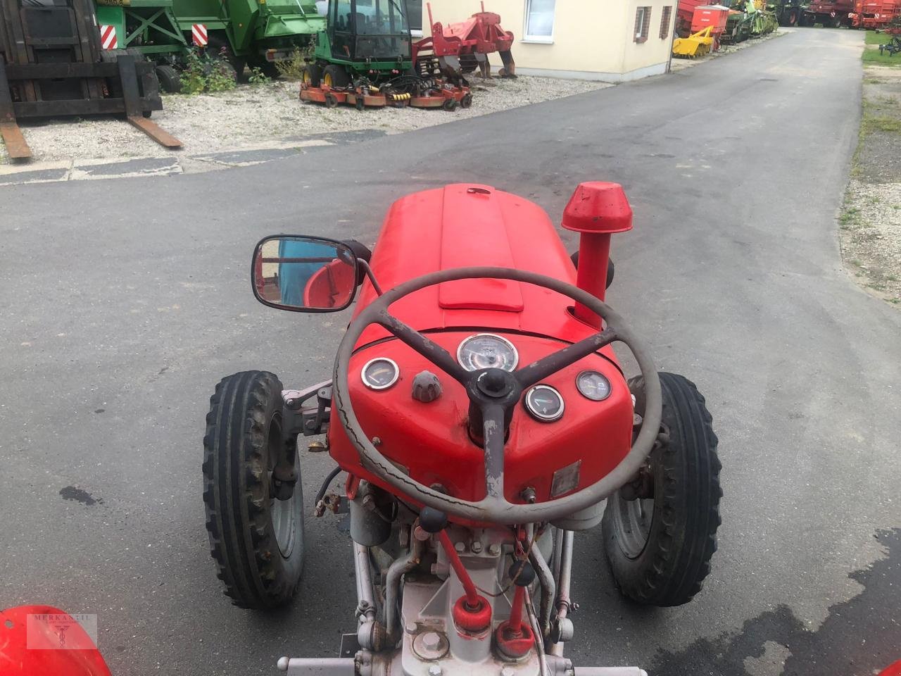 Traktor of the type Massey Ferguson L12L, Gebrauchtmaschine in Pragsdorf (Picture 13)