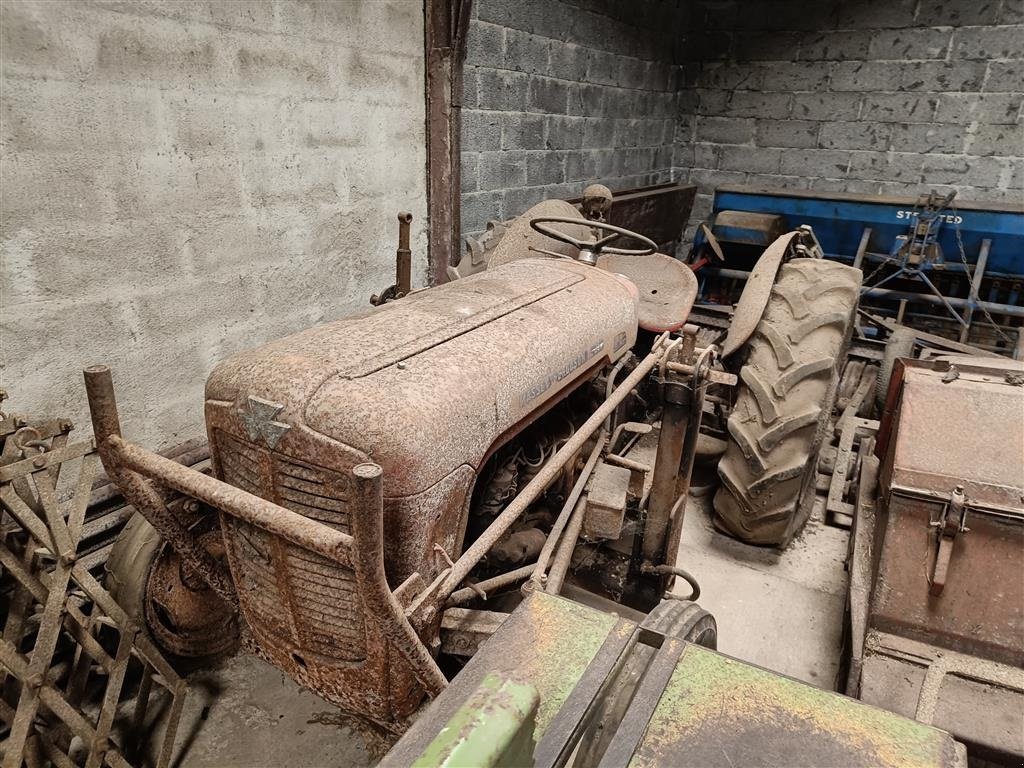 Traktor of the type Massey Ferguson MF 35  benzin, Gebrauchtmaschine in Egtved (Picture 2)