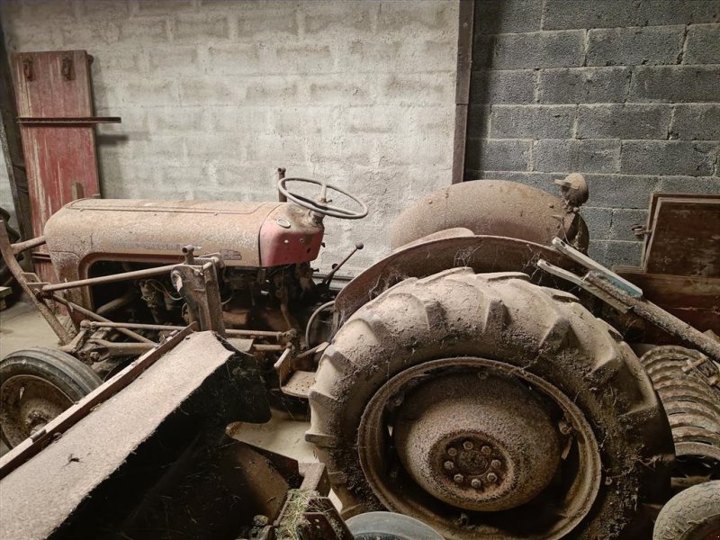 Traktor Türe ait Massey Ferguson MF 35  benzin, Gebrauchtmaschine içinde Egtved (resim 1)