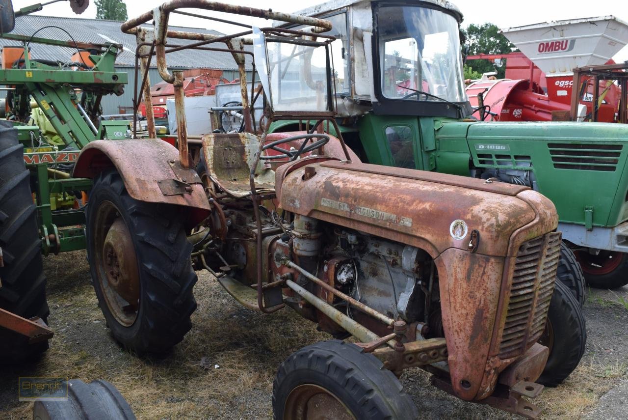 Traktor van het type Massey Ferguson MF 35, Gebrauchtmaschine in Oyten (Foto 1)