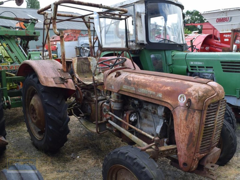 Traktor van het type Massey Ferguson MF 35, Gebrauchtmaschine in Oyten (Foto 1)