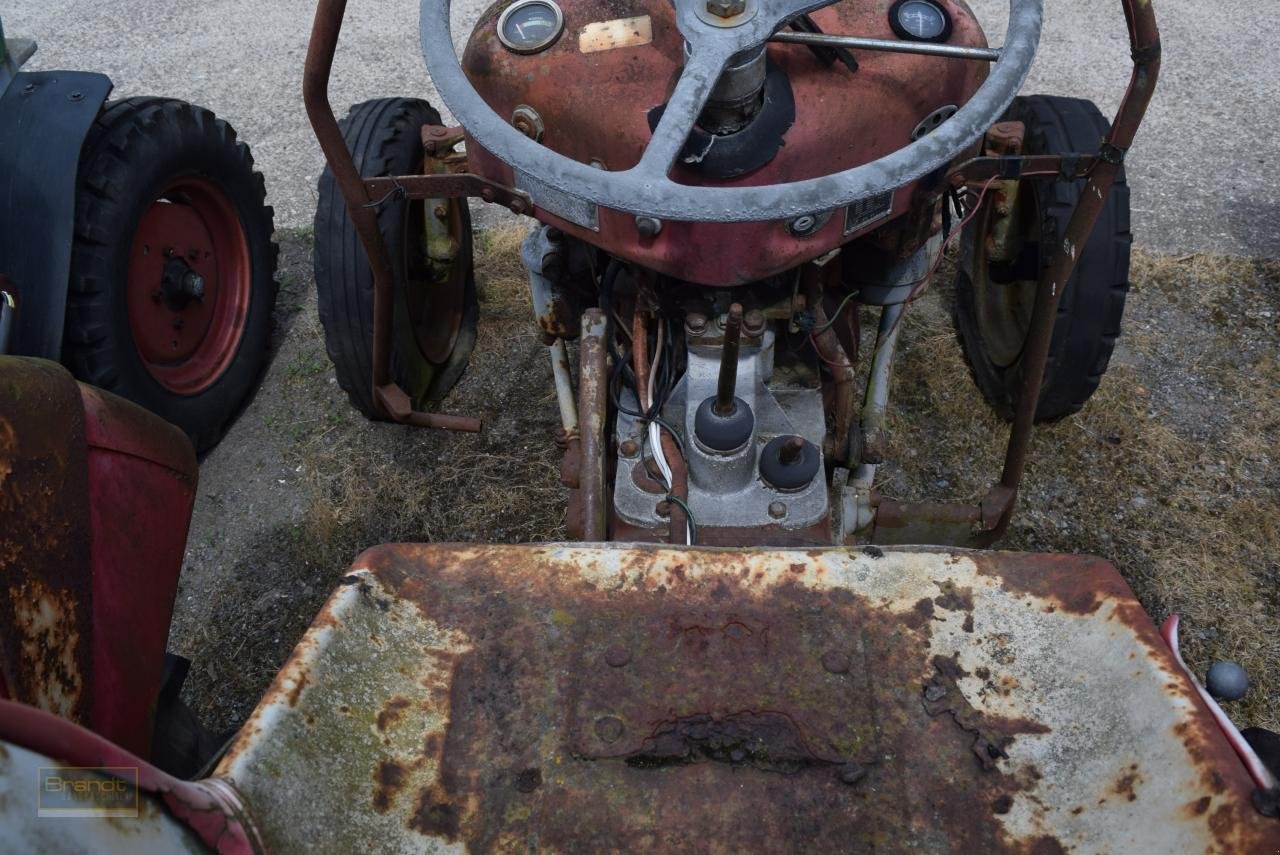 Traktor van het type Massey Ferguson MF 35, Gebrauchtmaschine in Oyten (Foto 5)