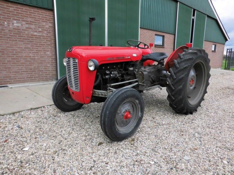 Traktor tip Massey Ferguson MF 35, Gebrauchtmaschine in Streefkerk (Poză 1)