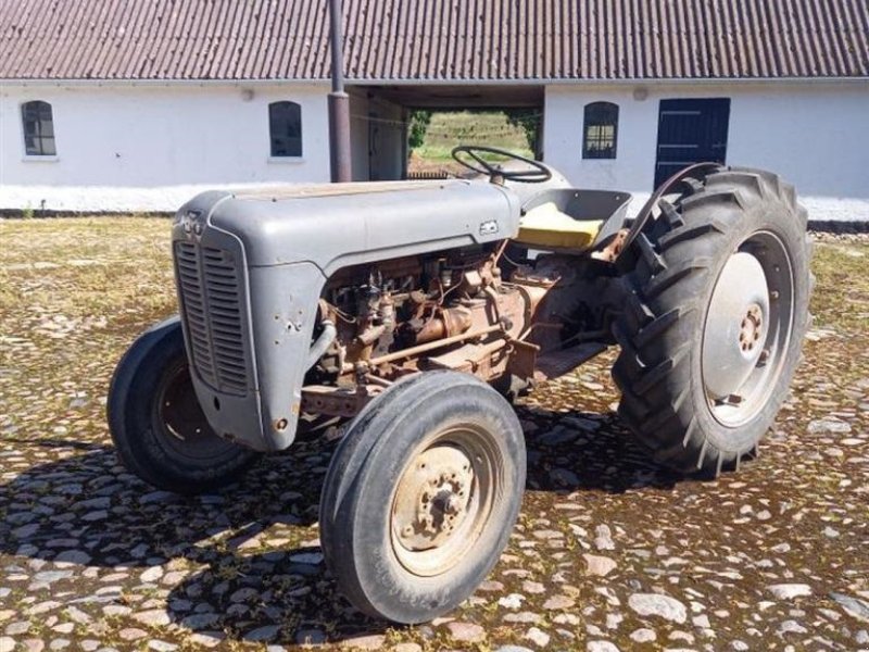 Traktor типа Massey Ferguson MF 35, Gebrauchtmaschine в Rødovre (Фотография 1)