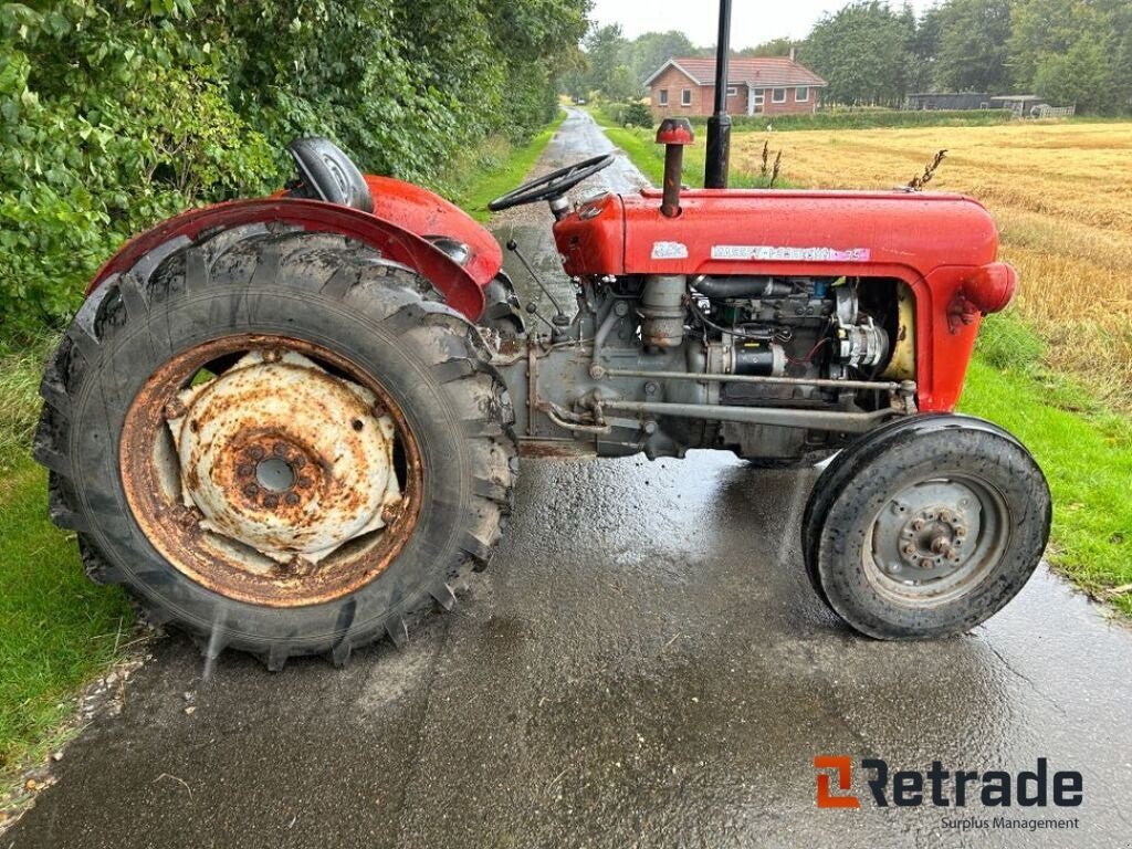 Traktor типа Massey Ferguson MF 35, Gebrauchtmaschine в Rødovre (Фотография 2)