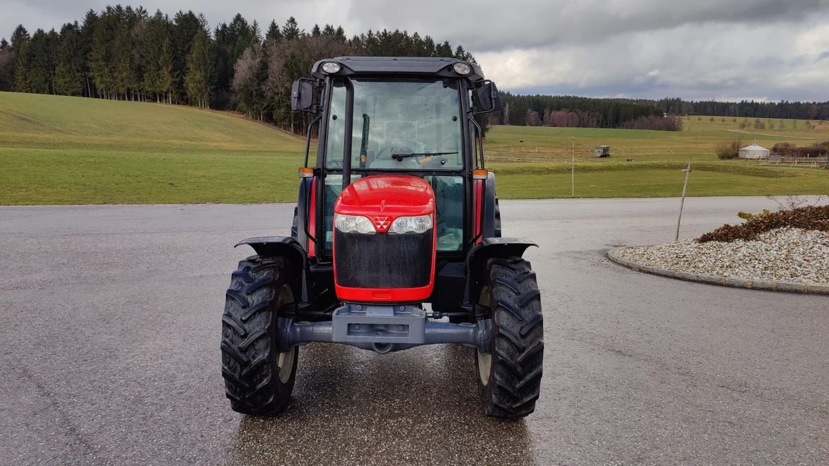 Traktor Türe ait Massey Ferguson MF 3625, Gebrauchtmaschine içinde NATTERNBACH (resim 2)