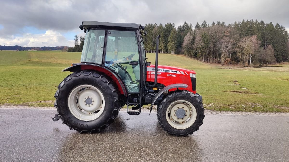 Traktor Türe ait Massey Ferguson MF 3625, Gebrauchtmaschine içinde NATTERNBACH (resim 3)