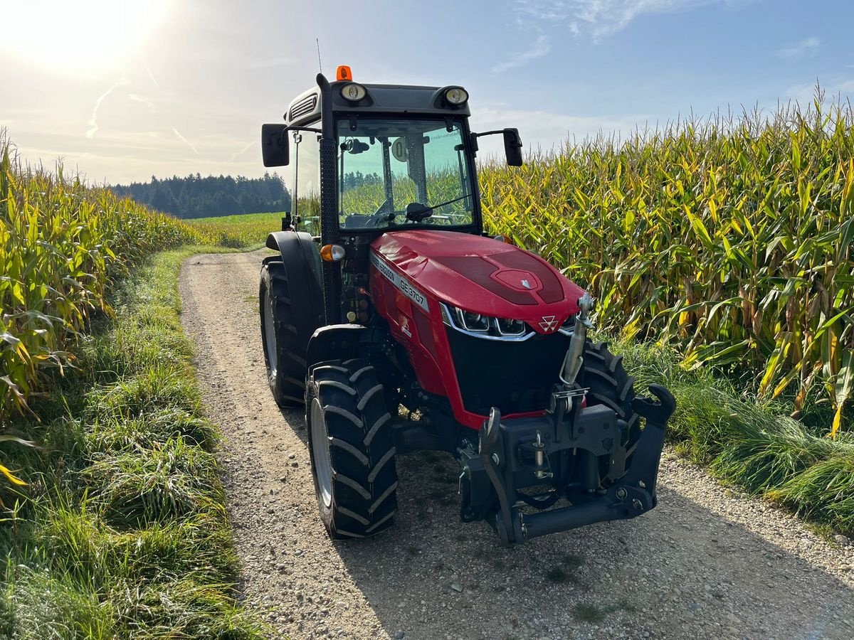 Traktor του τύπου Massey Ferguson MF 3707 GE, Vorführmaschine σε NATTERNBACH (Φωτογραφία 1)