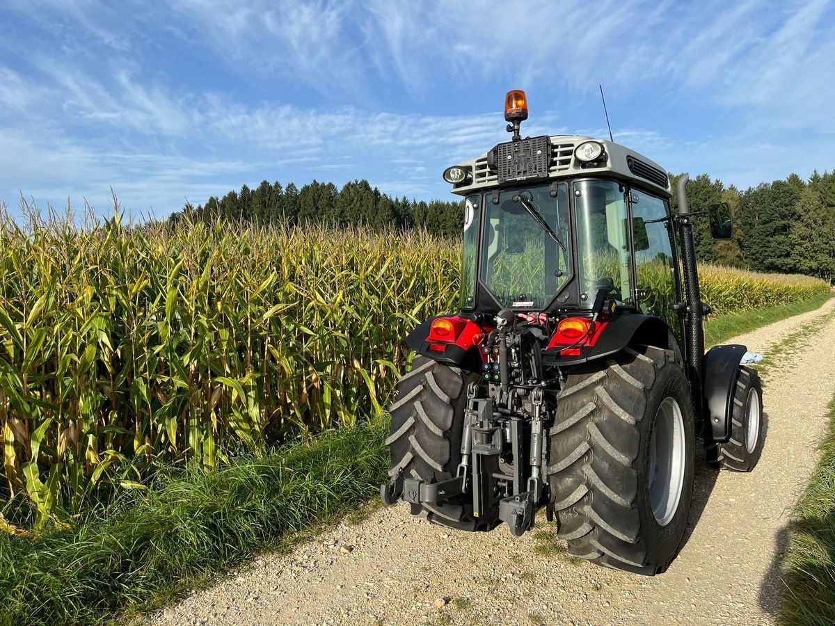 Traktor a típus Massey Ferguson MF 3707 GE, Vorführmaschine ekkor: NATTERNBACH (Kép 3)