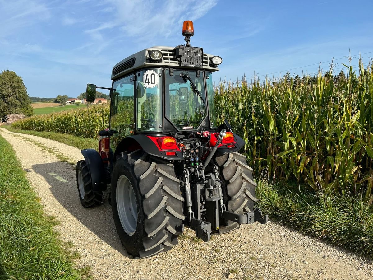 Traktor του τύπου Massey Ferguson MF 3707 GE, Vorführmaschine σε NATTERNBACH (Φωτογραφία 4)