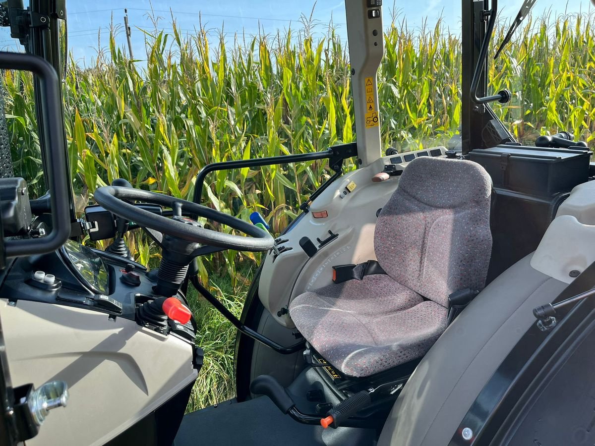 Traktor typu Massey Ferguson MF 3707 GE, Vorführmaschine v NATTERNBACH (Obrázek 16)