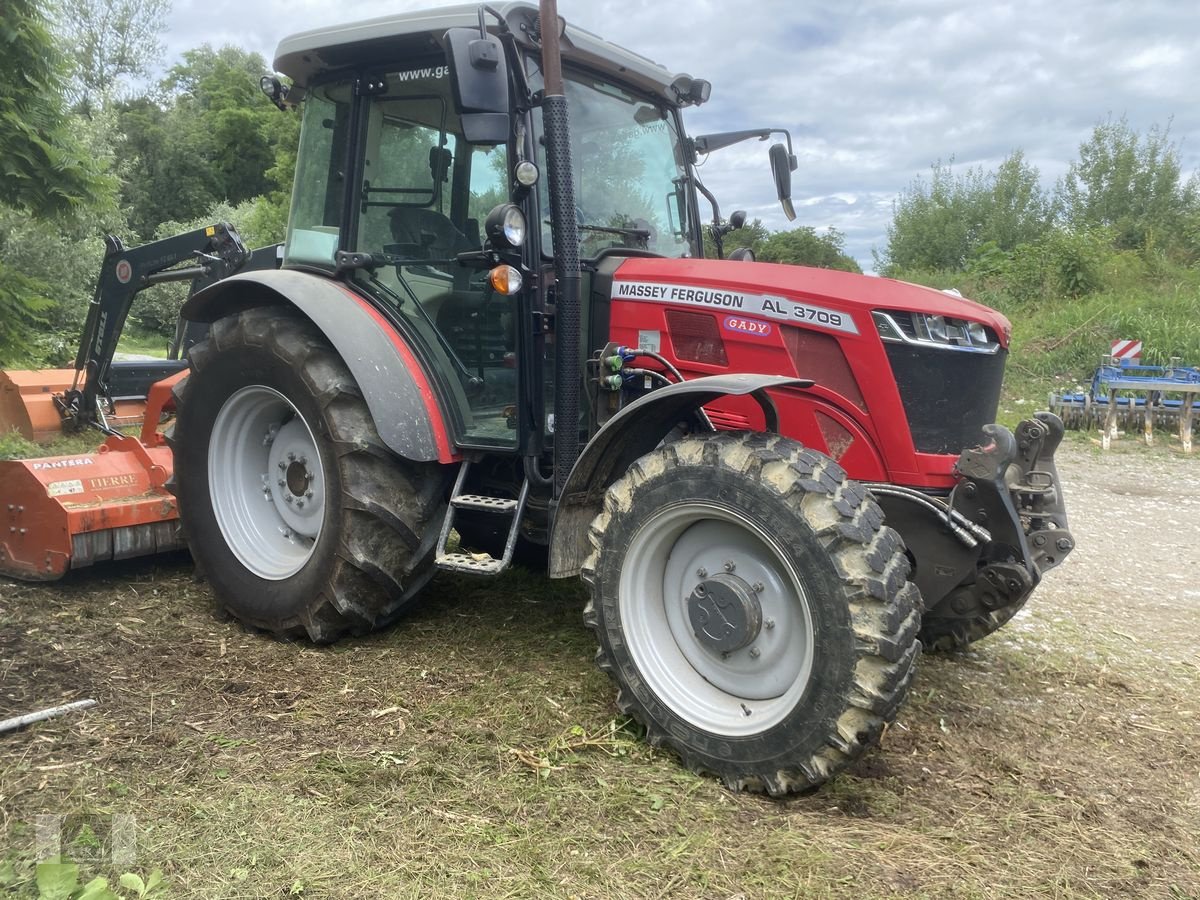 Traktor des Typs Massey Ferguson MF 3709 AL, Gebrauchtmaschine in Markt Hartmannsdorf (Bild 1)