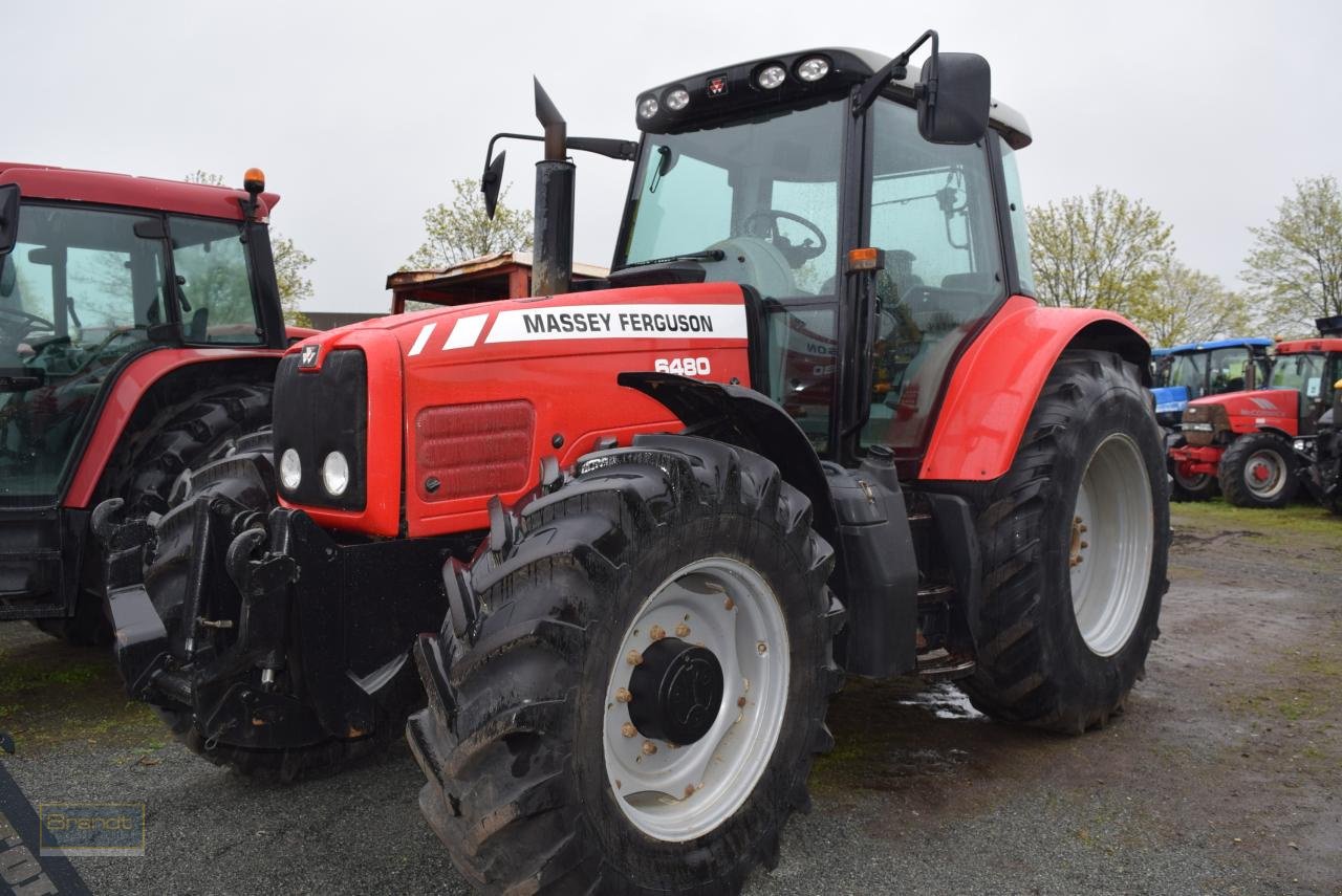 Traktor typu Massey Ferguson MF 6480, Gebrauchtmaschine v Oyten (Obrázok 2)