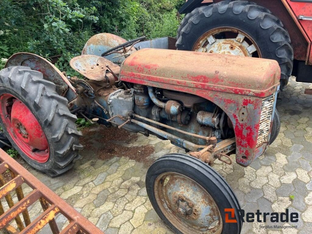 Traktor del tipo Massey Ferguson Oldtimer, Gebrauchtmaschine In Rødovre (Immagine 4)