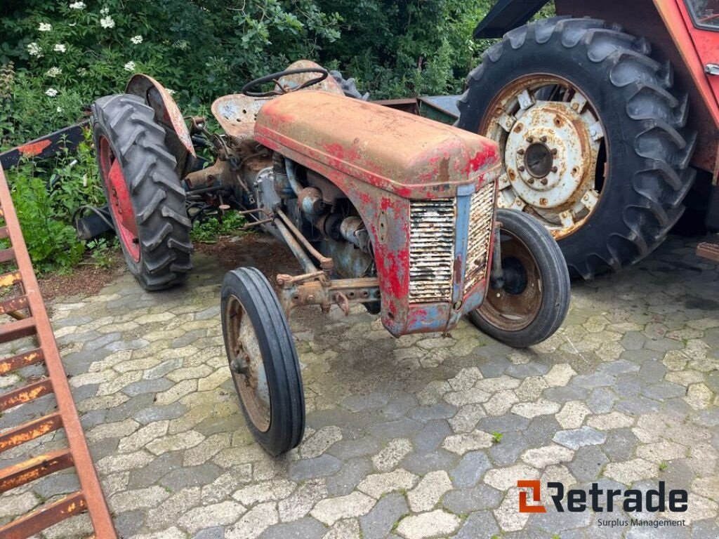 Traktor del tipo Massey Ferguson Oldtimer, Gebrauchtmaschine In Rødovre (Immagine 3)