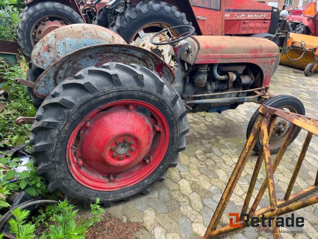 Traktor del tipo Massey Ferguson Oldtimer, Gebrauchtmaschine In Rødovre (Immagine 5)