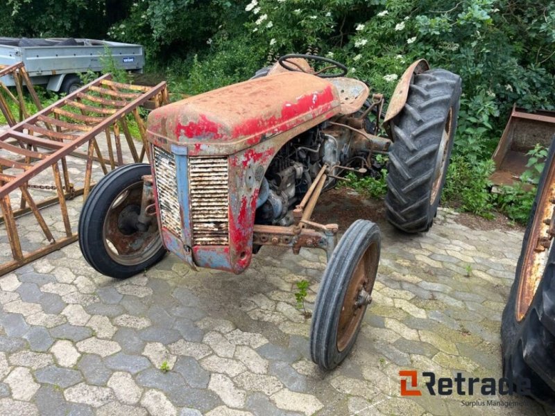 Traktor типа Massey Ferguson Oldtimer, Gebrauchtmaschine в Rødovre (Фотография 1)