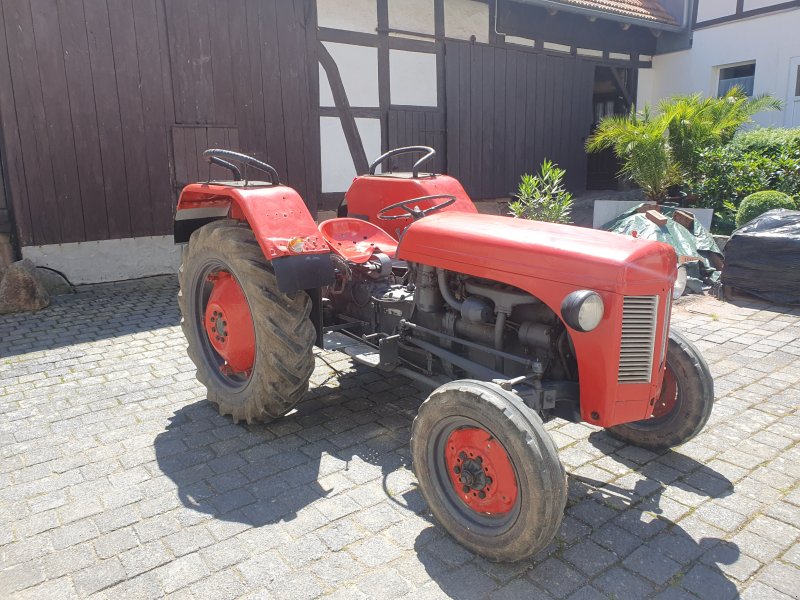 Traktor typu Massey Ferguson TEA 20, Gebrauchtmaschine w Schwobfeld (Zdjęcie 1)