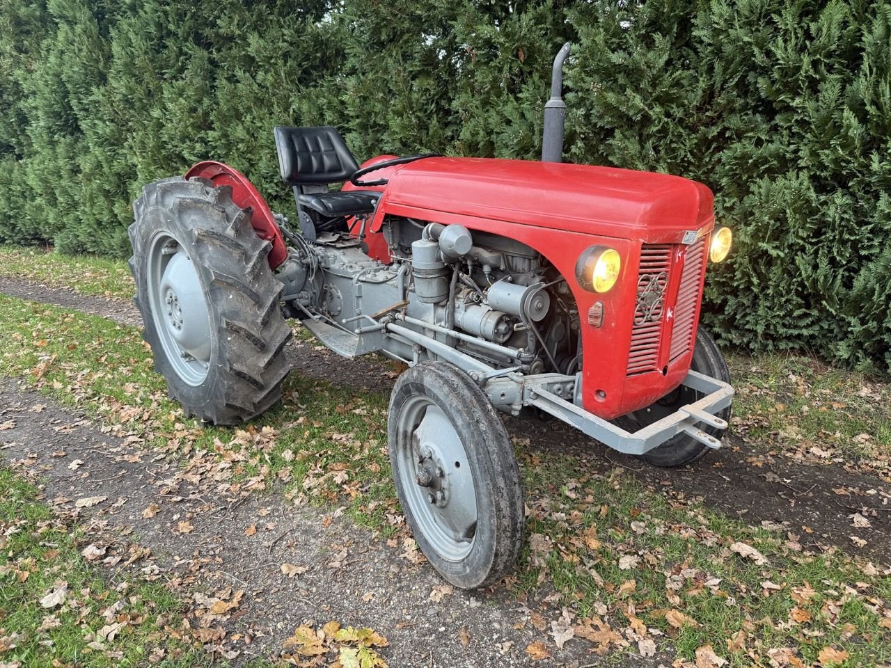 Traktor del tipo Massey Ferguson TED 20 P3, Gebrauchtmaschine en Wenum Wiesel (Imagen 1)