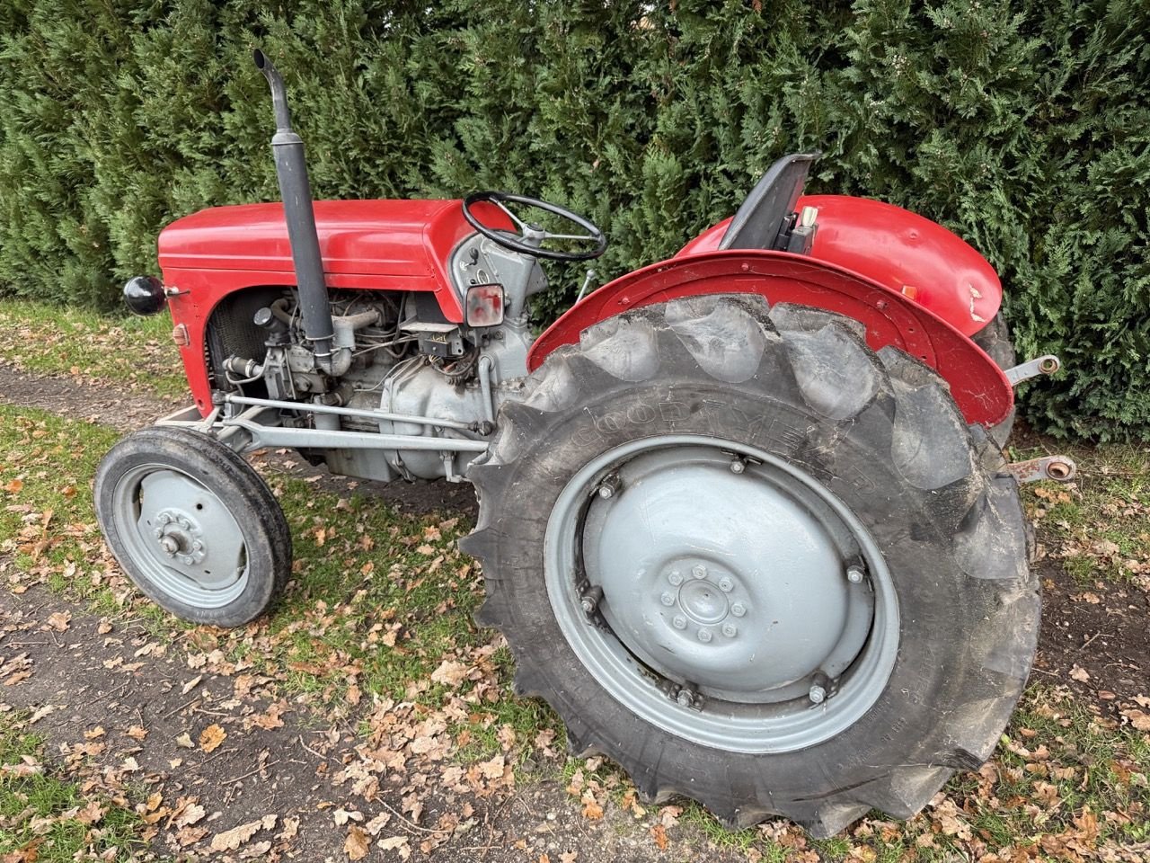 Traktor a típus Massey Ferguson TED 20 P3, Gebrauchtmaschine ekkor: Wenum Wiesel (Kép 2)