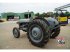 Traktor of the type Massey Ferguson Tef diesel, Gebrauchtmaschine in MIJNSHEERENLAND (Picture 5)