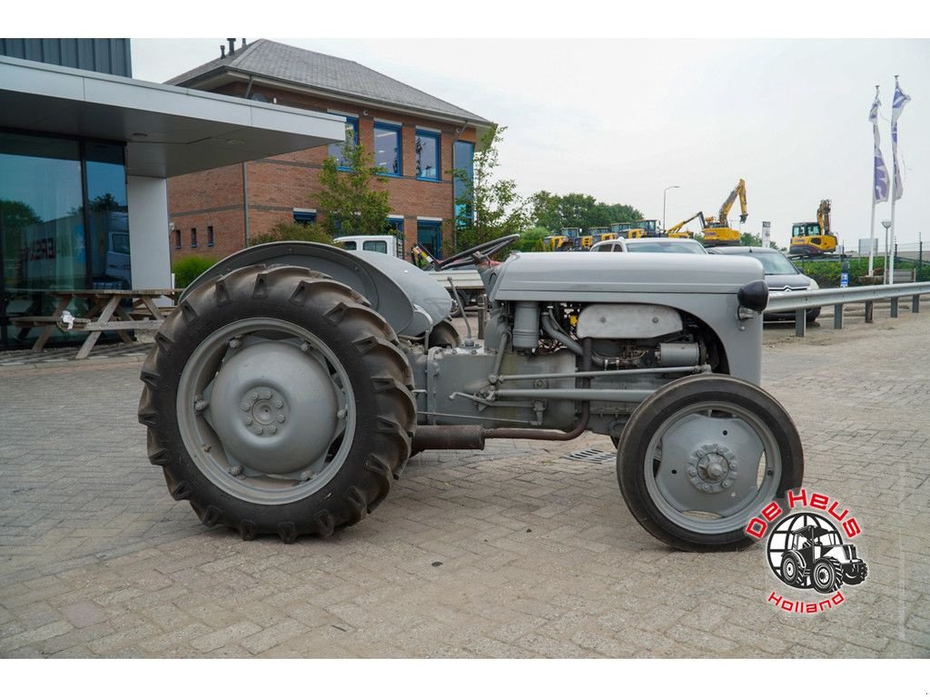 Traktor of the type Massey Ferguson Tef petroleum, Gebrauchtmaschine in MIJNSHEERENLAND (Picture 2)