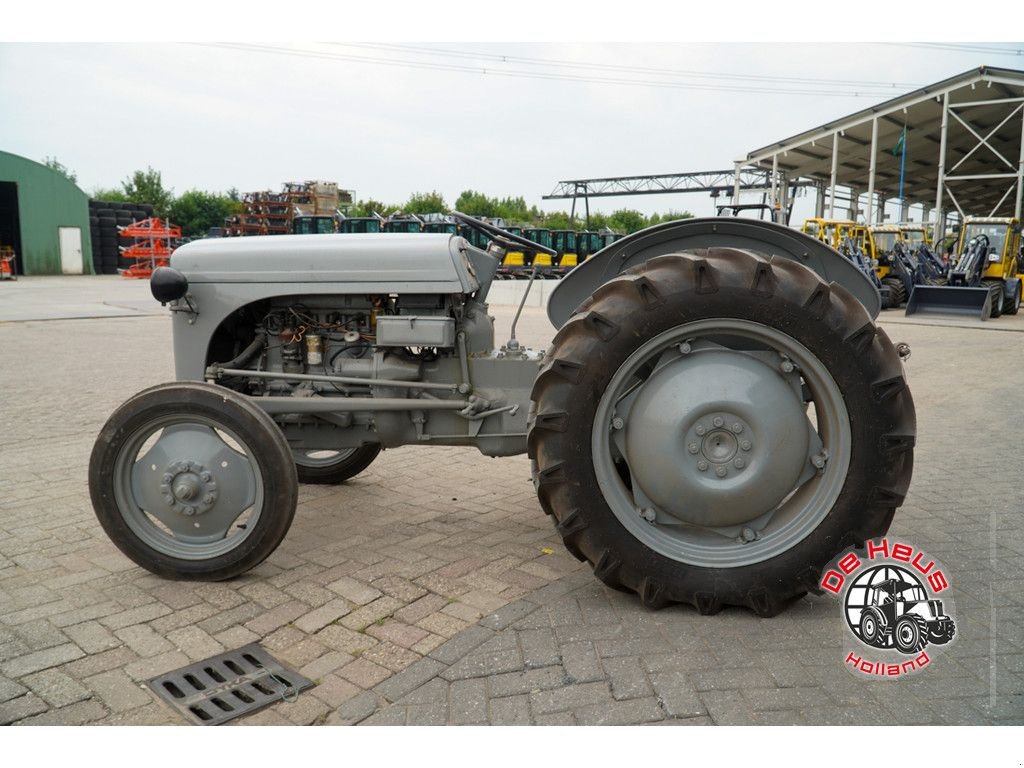 Traktor of the type Massey Ferguson Tef petroleum, Gebrauchtmaschine in MIJNSHEERENLAND (Picture 7)