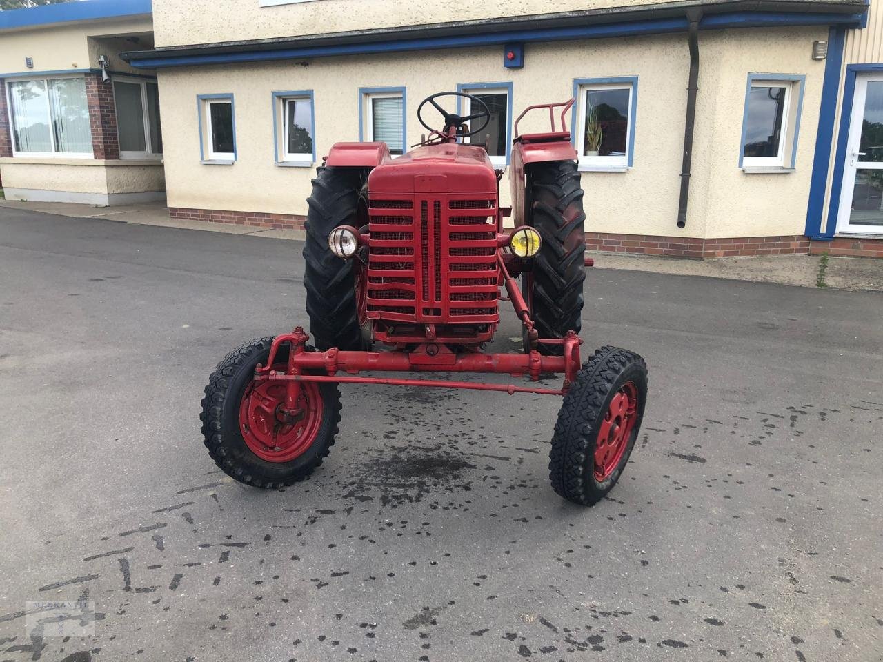 Traktor του τύπου McCormick Farmall F-265, Gebrauchtmaschine σε Pragsdorf (Φωτογραφία 3)