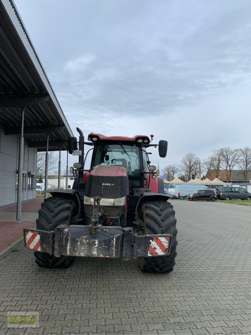 Traktor typu New Holland PUMA CVX 240, Gebrauchtmaschine w Osterburg (Zdjęcie 4)