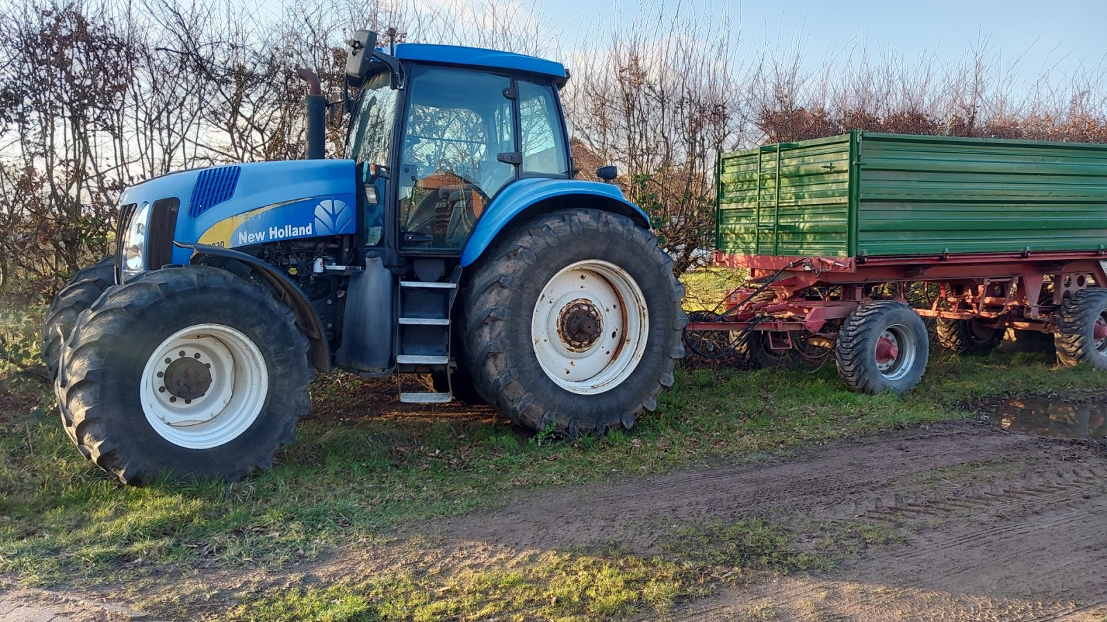 Traktor typu New Holland TG 230, Gebrauchtmaschine v Neustadt  (Obrázek 1)