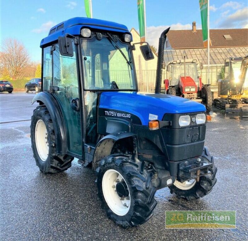 Traktor of the type New Holland TN 75V Weinbausch, Gebrauchtmaschine in Bühl (Picture 1)