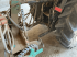 Traktor tipa New Holland TRACTEUR, Gebrauchtmaschine u SAINT ANDIOL (Slika 9)