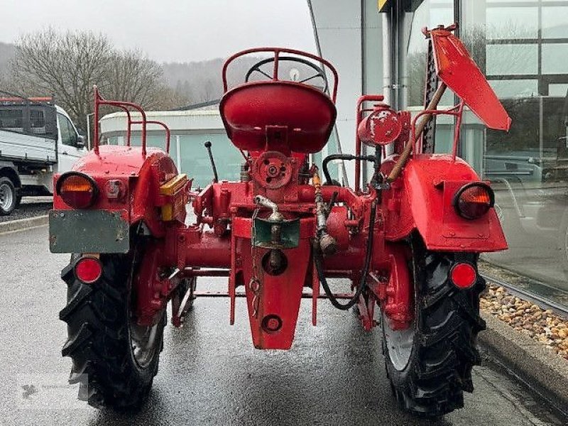 Traktor del tipo Porsche Allgaier A111 Schlepper Traktor Oldtimer, Gebrauchtmaschine en Gevelsberg (Imagen 4)