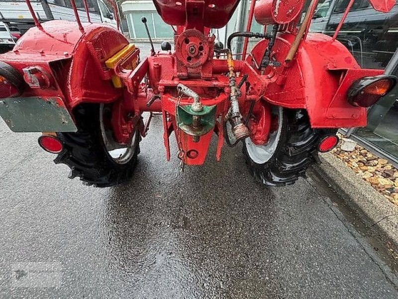 Traktor del tipo Porsche Allgaier A111 Schlepper Traktor Oldtimer, Gebrauchtmaschine en Gevelsberg (Imagen 5)