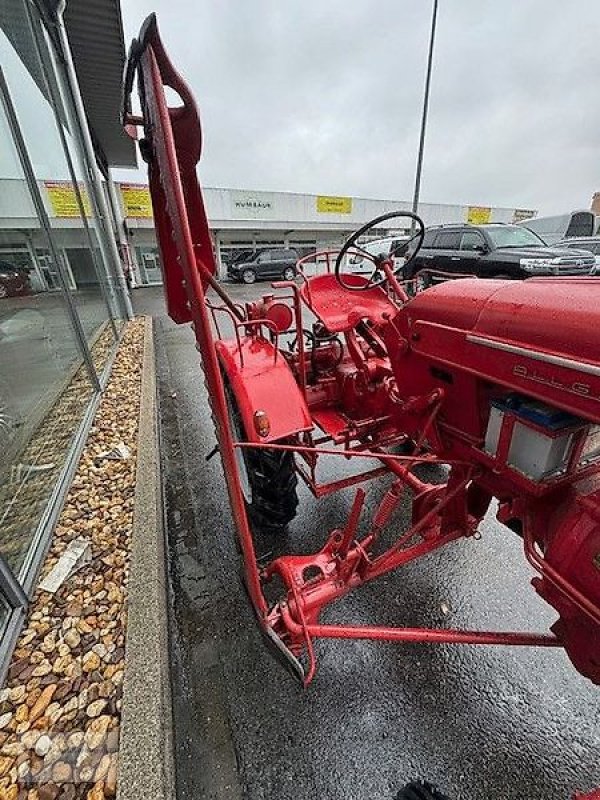 Traktor del tipo Porsche Allgaier A111 Schlepper Traktor Oldtimer, Gebrauchtmaschine en Gevelsberg (Imagen 7)