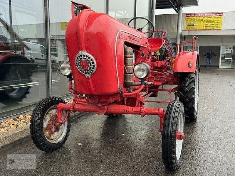 Traktor del tipo Porsche Allgaier A111 Schlepper Traktor Oldtimer, Gebrauchtmaschine en Gevelsberg (Imagen 1)