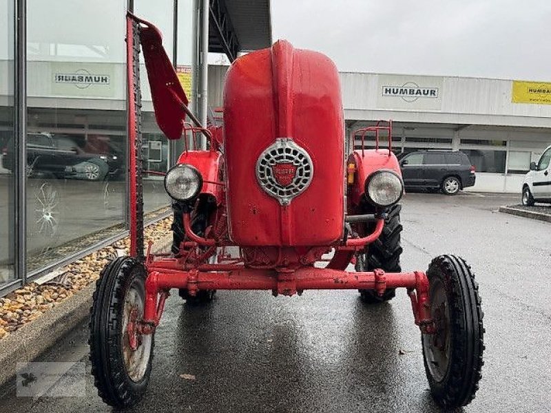 Traktor del tipo Porsche Allgaier A111 Schlepper Traktor Oldtimer, Gebrauchtmaschine en Gevelsberg (Imagen 2)