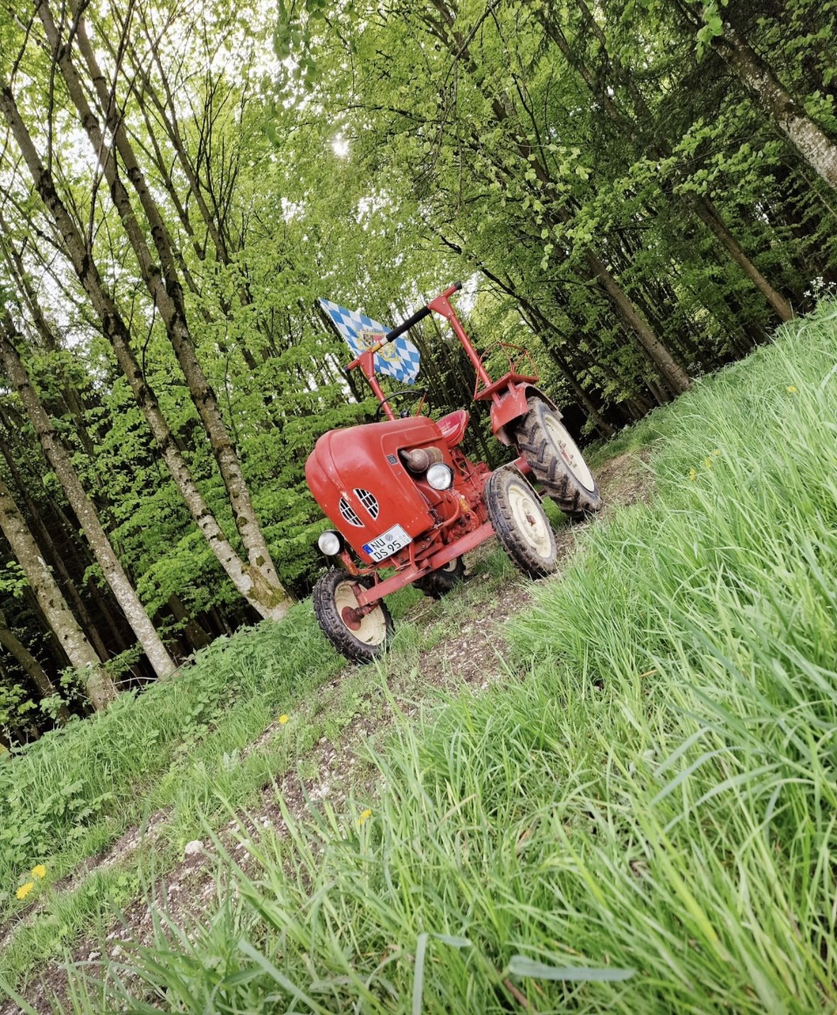 Traktor des Typs Porsche Junior 108, Gebrauchtmaschine in Roggenburg (Bild 3)