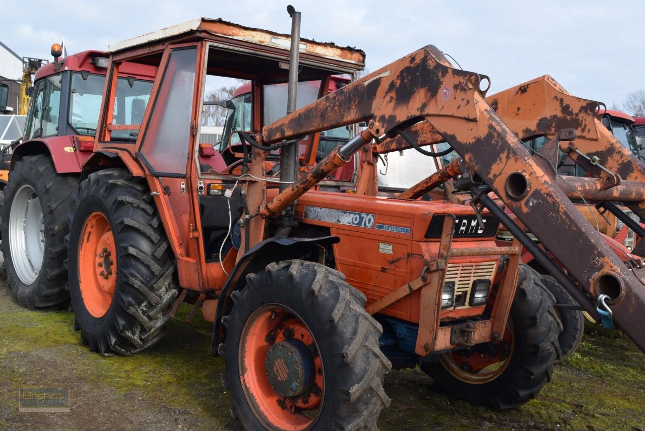 Traktor van het type Same Cosarso 68, Gebrauchtmaschine in Oyten (Foto 1)