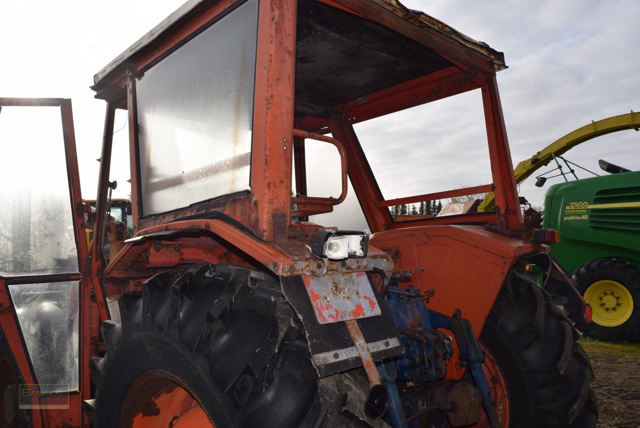 Traktor van het type Same Cosarso 68, Gebrauchtmaschine in Oyten (Foto 5)