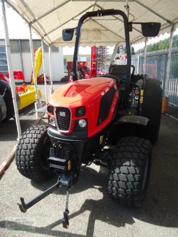 Traktor van het type Same Delfino 60, Gebrauchtmaschine in Steisslingen (Foto 2)