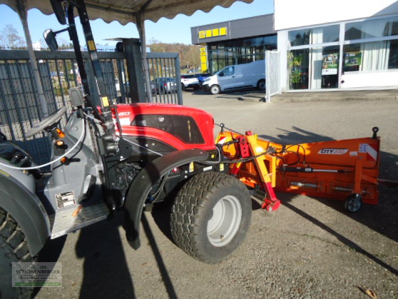 Traktor van het type Same Delfino 60, Gebrauchtmaschine in Steisslingen (Foto 6)