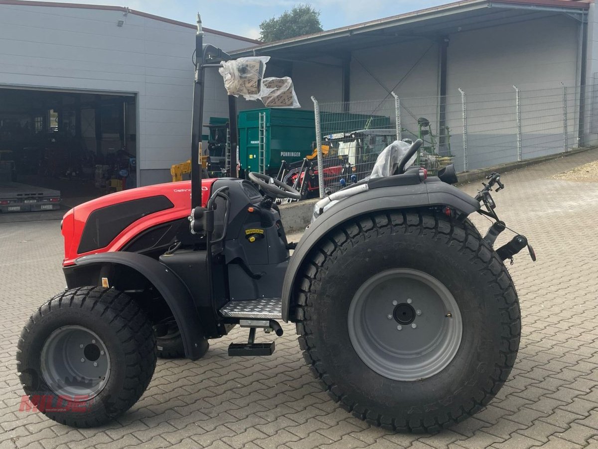 Traktor of the type Same Delfino 60, Neumaschine in Gebenbach (Picture 1)