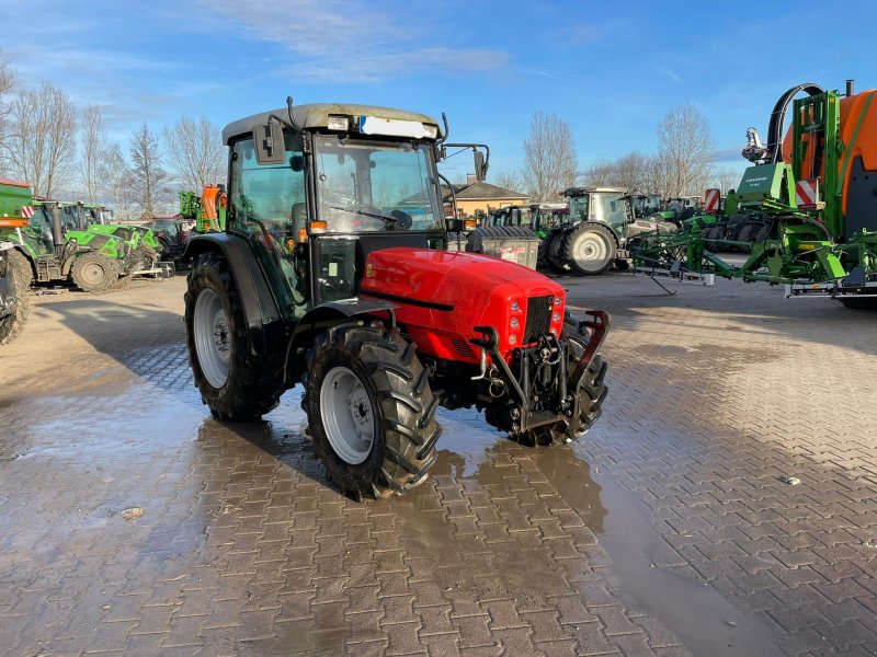 Traktor del tipo Same Dorado 80, Gebrauchtmaschine In Dannstadt-Schauernheim