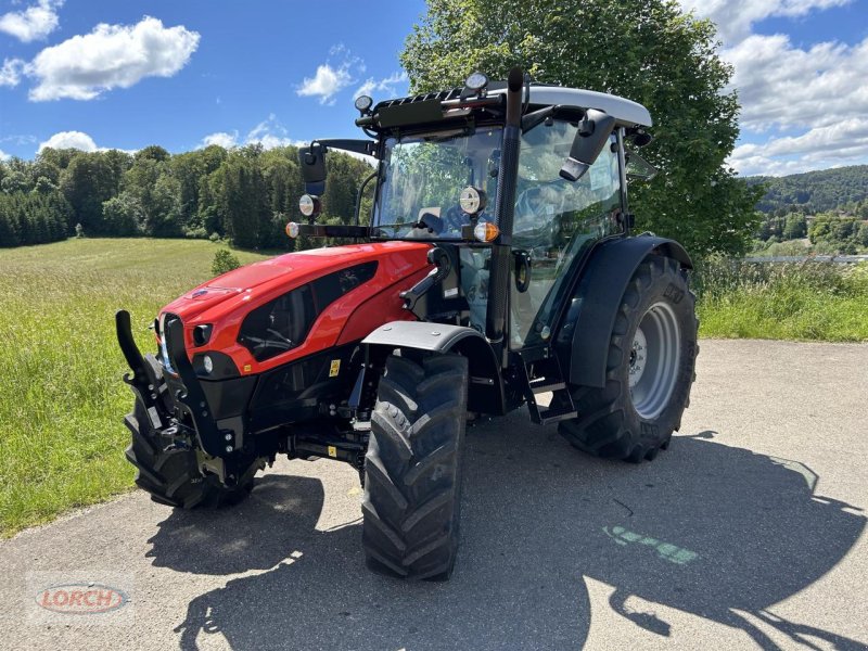 Traktor del tipo Same Dorado 95 GS, Neumaschine In Trochtelfingen (Immagine 1)