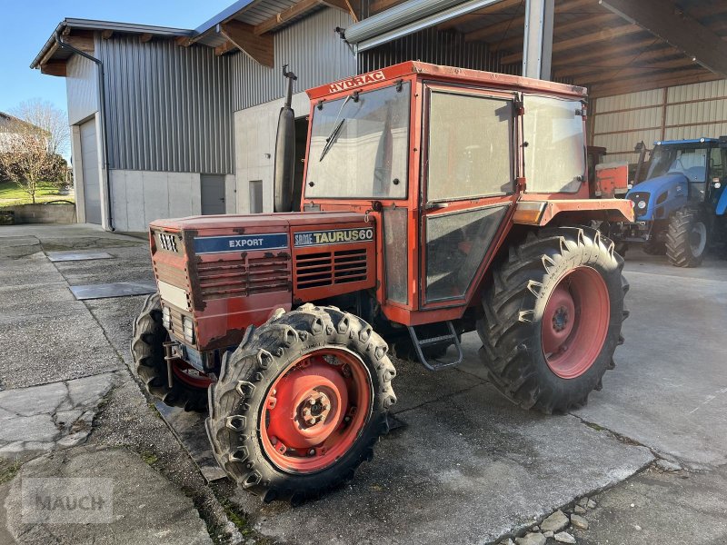 Traktor of the type Same Taurus 60 DT Export, Gebrauchtmaschine in Burgkirchen (Picture 1)