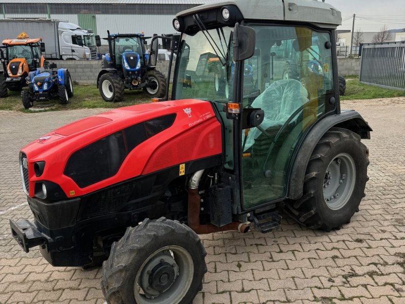 Traktor of the type Same Tracteur agricole FRUTTETO Same, Gebrauchtmaschine in ROYNAC (Picture 1)