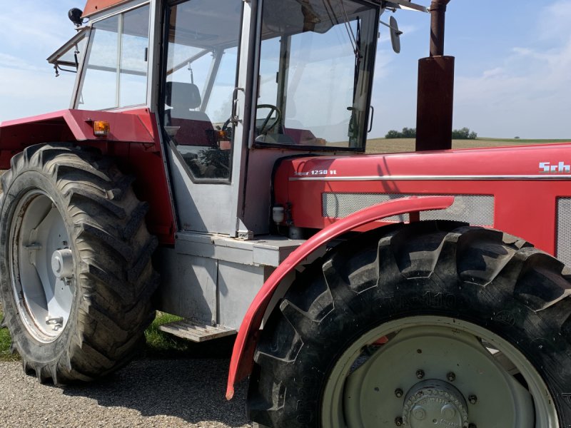 Traktor van het type Schlüter 1250 VL, Gebrauchtmaschine in Neufraunhofen (Foto 1)